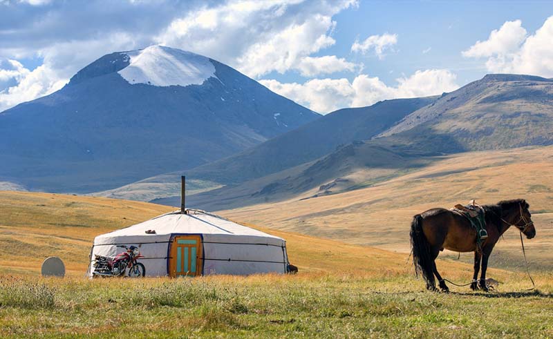things_to_do_mongolia